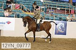 12yn_09777 thumbnail