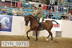 12yn_09792 thumbnail