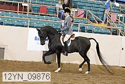 12yn_09876 thumbnail