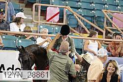 12yn_28861 thumbnail