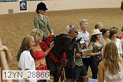 12yn_28866 thumbnail