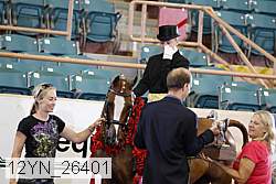 12yn_26401 thumbnail