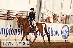 12yn_23664 thumbnail