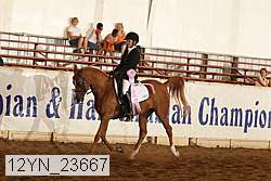 12yn_23667 thumbnail