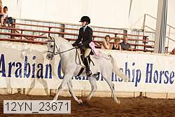 12yn_23671 thumbnail