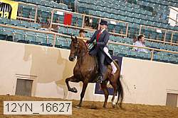 12yn_16627 thumbnail
