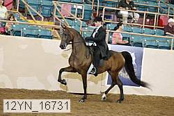 12yn_16731 thumbnail