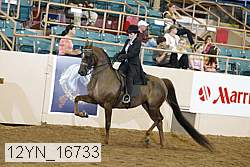 12yn_16733 thumbnail