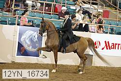 12yn_16734 thumbnail