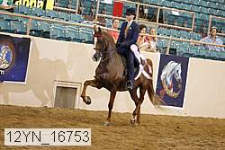 12yn_16753 thumbnail