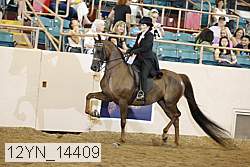 12yn_14409 thumbnail