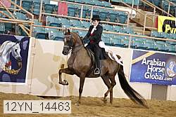 12yn_14463 thumbnail