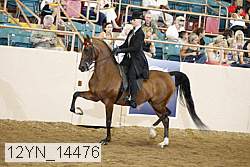 12yn_14476 thumbnail