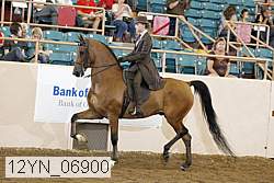 12yn_06900 thumbnail