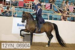12yn_06904 thumbnail