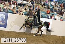 12yn_26700 thumbnail