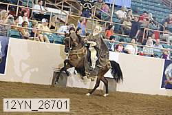 12yn_26701 thumbnail