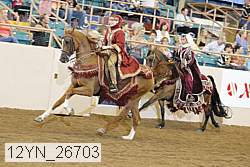 12yn_26703 thumbnail
