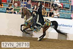 12yn_26710 thumbnail
