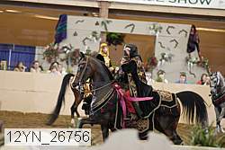 12yn_26756 thumbnail