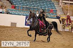 12yn_26757 thumbnail
