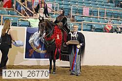 12yn_26770 thumbnail