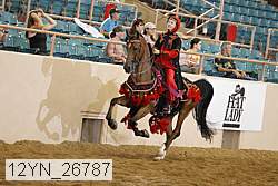 12yn_26787 thumbnail