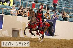 12yn_26788 thumbnail