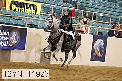 12yn_11925 thumbnail