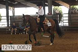 12yn_00627 thumbnail