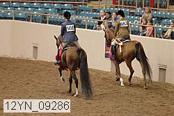 12yn_09286 thumbnail