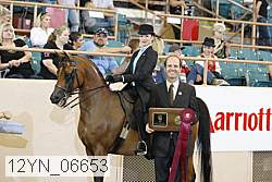 12yn_06653 thumbnail