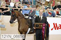 12yn_06656 thumbnail