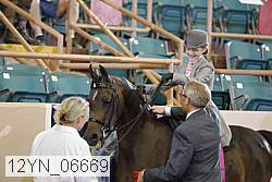12yn_06669 thumbnail