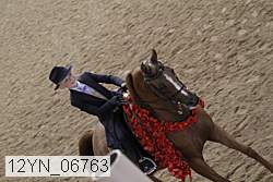 12yn_06763 thumbnail