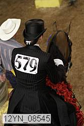 12yn_08545 thumbnail
