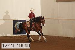 12yn_19940 thumbnail