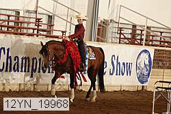 12yn_19968 thumbnail