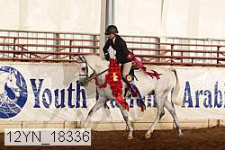 12yn_18336 thumbnail