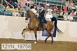 12yn_19758 thumbnail