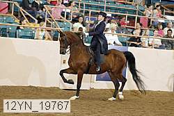 12yn_19767 thumbnail