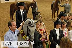 12yn_19839 thumbnail