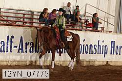 12yn_07775 thumbnail