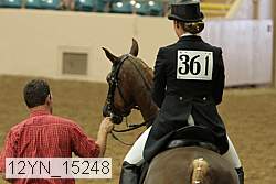 12yn_15248 thumbnail