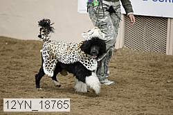 12yn_18765 thumbnail