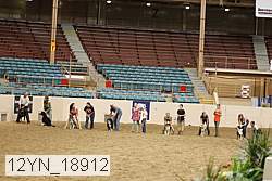 12yn_18912 thumbnail