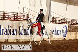 12yn_23809 thumbnail