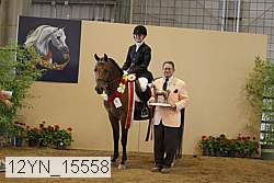 12yn_15558 thumbnail