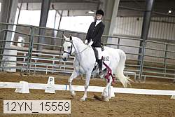 12yn_15559 thumbnail