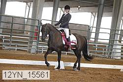 12yn_15561 thumbnail